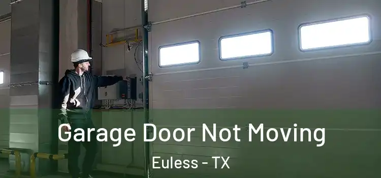 Garage Door Not Moving Euless - TX
