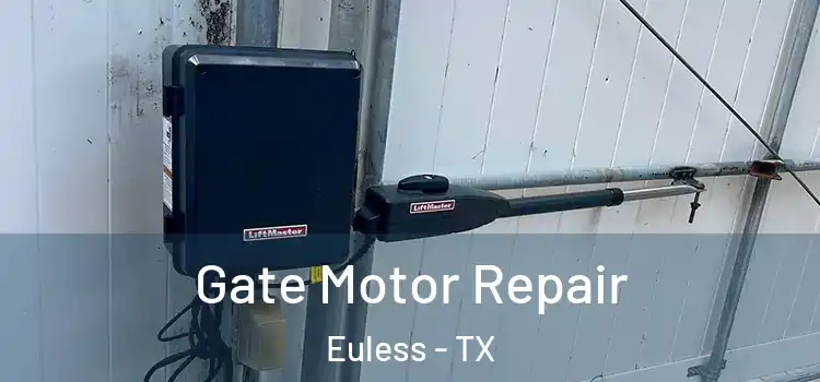 Gate Motor Repair Euless - TX